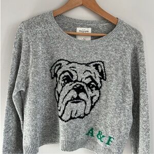 Abercrombie & Fitch Women’s Bull Dog Grey Long Sleeved Cropped Crewneck Sweater